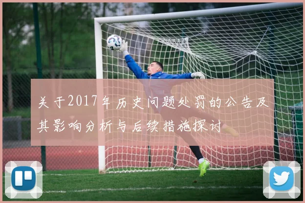 关于2017年历史问题处罚的公告及其影响分析与后续措施探讨