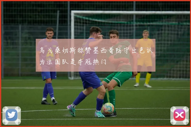 乌戈桑切斯称赞墨西哥防守出色认为法国队是夺冠热门